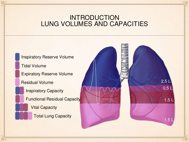 increased lung pressure and lower dead space