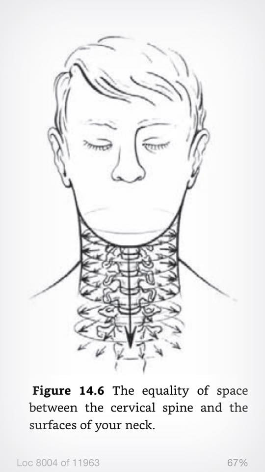 The cervical spine is at the centre of the neck